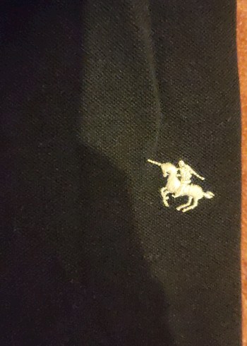 DS damat marka Siyah Erkek Polo Tişört - Görsel 3