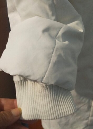 Bayan kaban  - Görsel 7