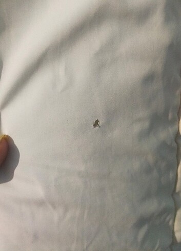 Bayan kaban  - Görsel 8