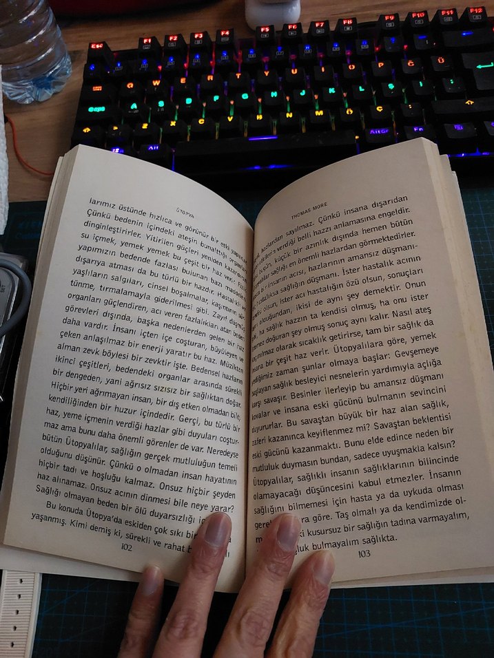 Thomas More - Ütopya Romanı - Görsel 4