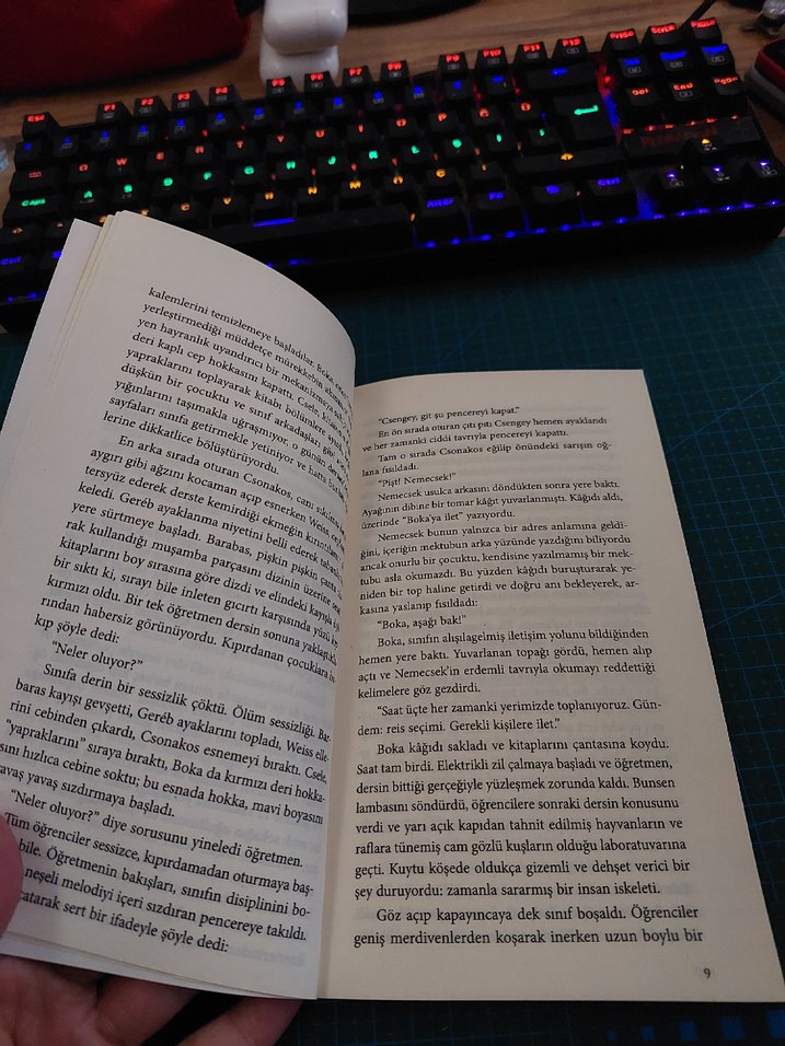 Pal Sokağı Çocukları - Ferenc Molnár - Görsel 3