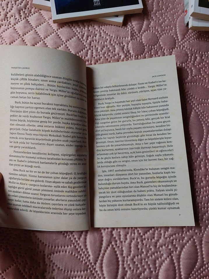 Jack London - Vahşetin Çağrısı Romanı - Görsel 3