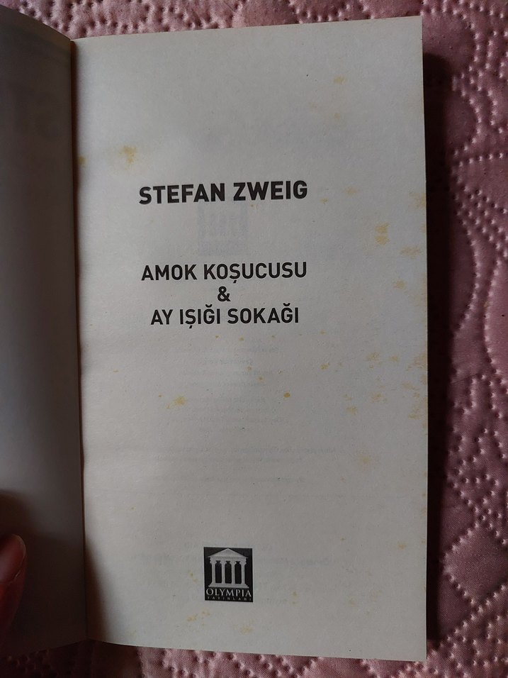 Stefan Zweig - Amok Koşucusu & Ayışığı Sokağı - Görsel 3