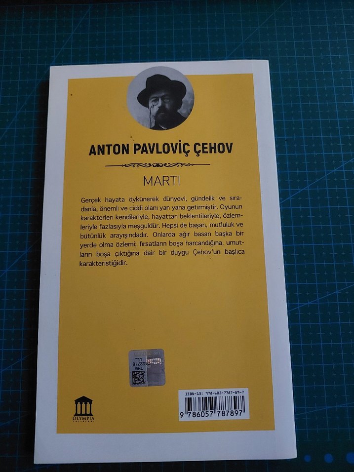 Anton Pavloviç Çehov - Martı Romanı - Görsel 2