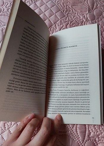 Edgar Allen Poe - Morg Sokağı Cinayeti - Görsel 3