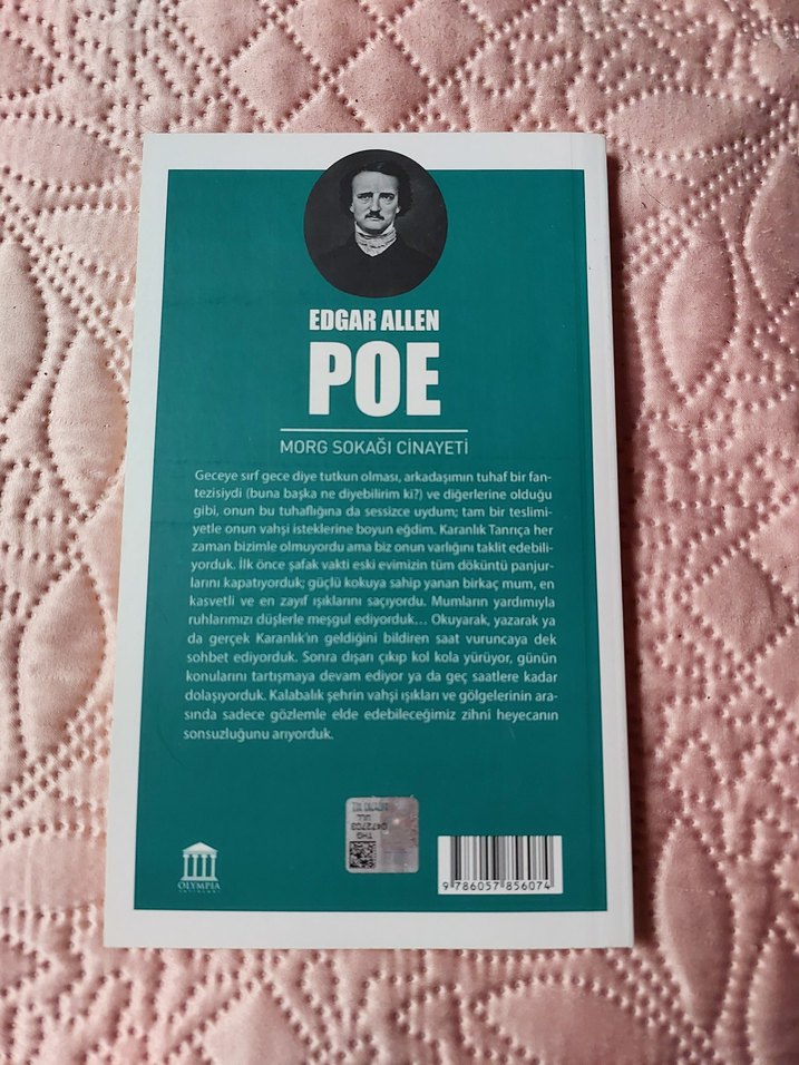 Edgar Allen Poe - Morg Sokağı Cinayeti - Görsel 2