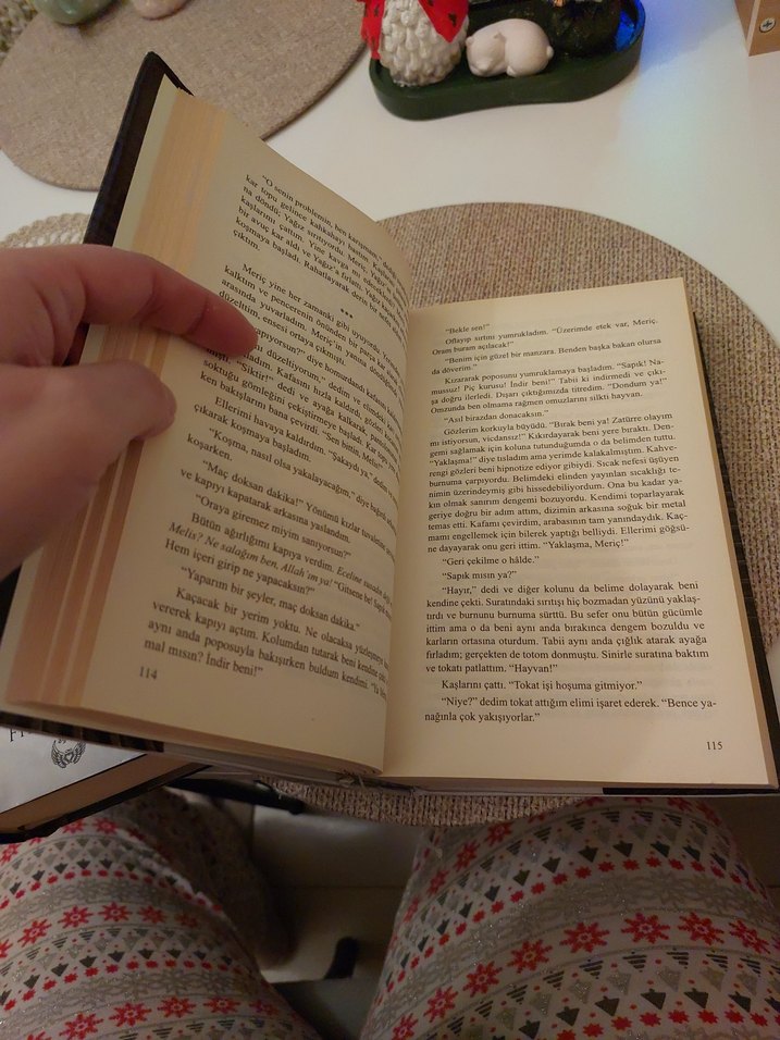 Veliaht - Filiz Puluç Roman Seti - Görsel 5