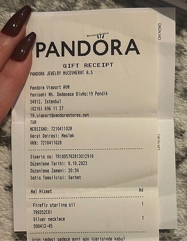  Beden Pandora Bileklik ve Charm