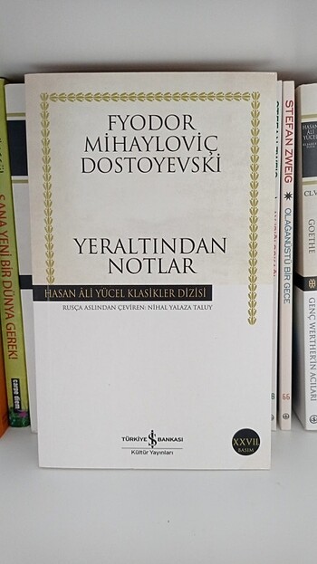 Yer altından notlar 