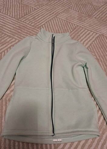 Polar hirka