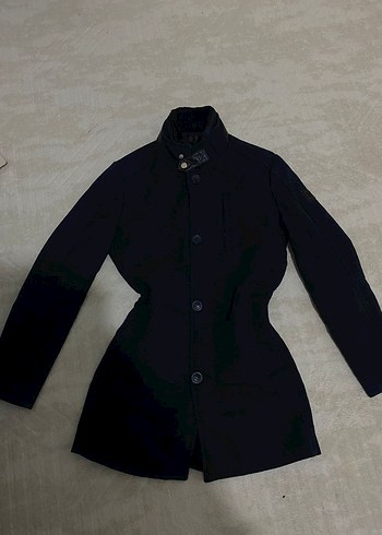 Altınyıldız kaban - Görsel 3