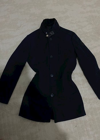 Altınyıldız kaban - Görsel 2