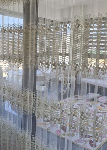 Salon tülü