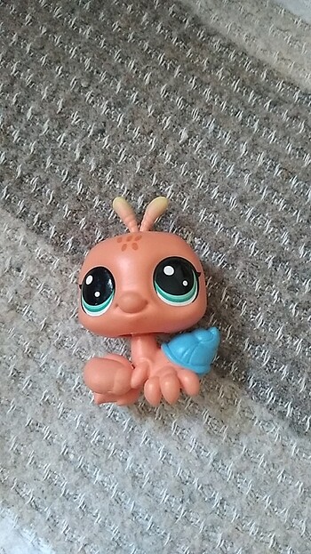 Beden Miniş Minis