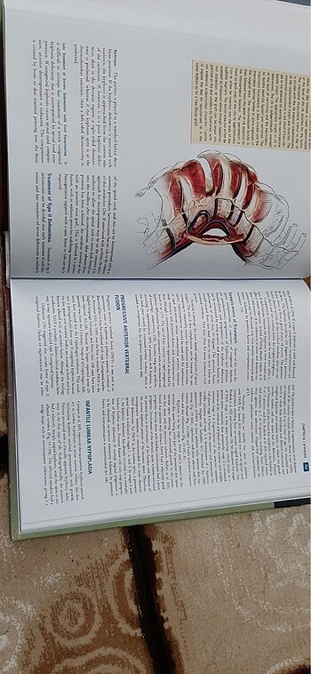 Pediatric Orthopaedics Lovell and Winter - Görsel 4