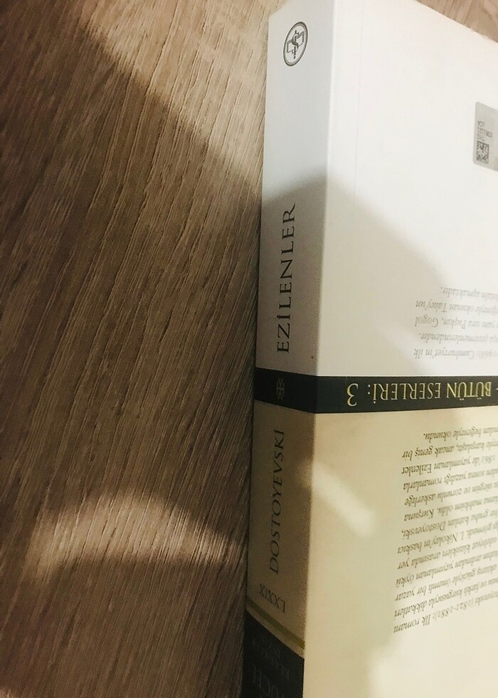 Ezilenler Hasan Ali Yücel dostoyevski - Görsel 3