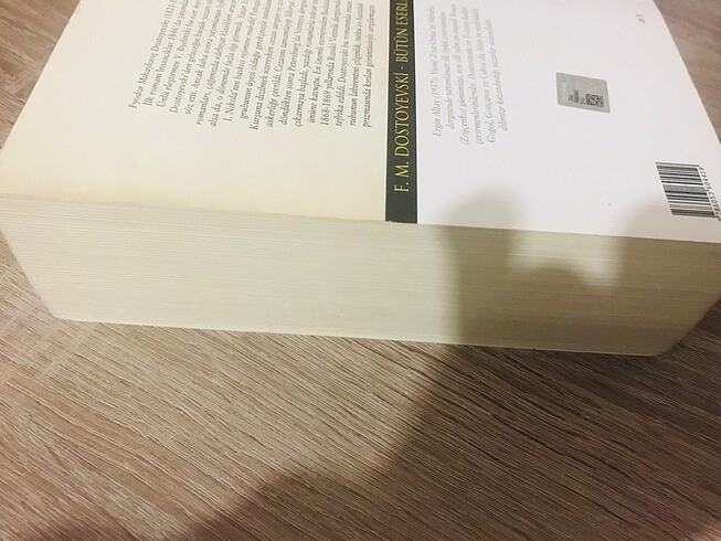 Budala hasan Ali Yücel dostoyevski - Görsel 3