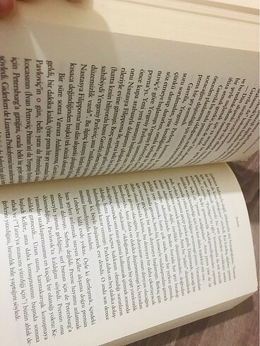 Budala hasan Ali Yücel dostoyevski - Görsel 6