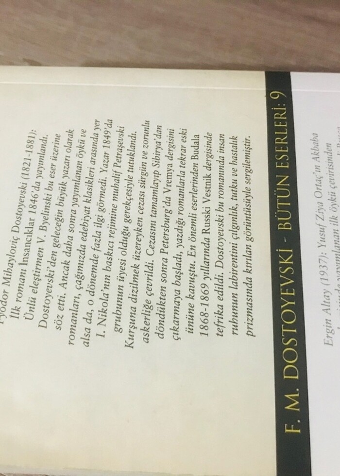 Budala hasan Ali Yücel dostoyevski - Görsel 2