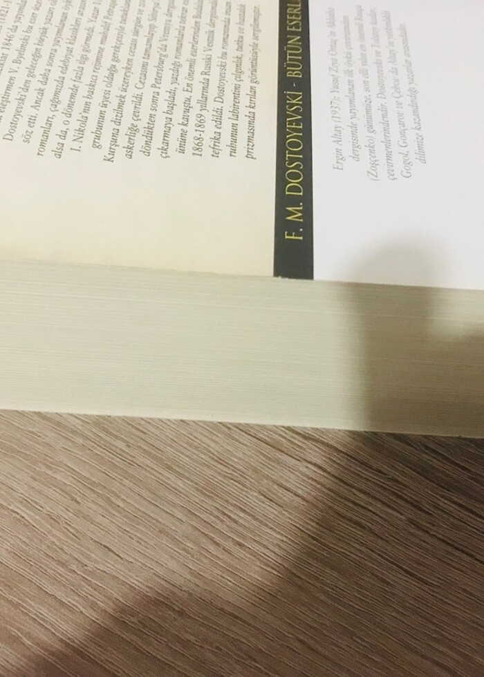 Budala hasan Ali Yücel dostoyevski - Görsel 3