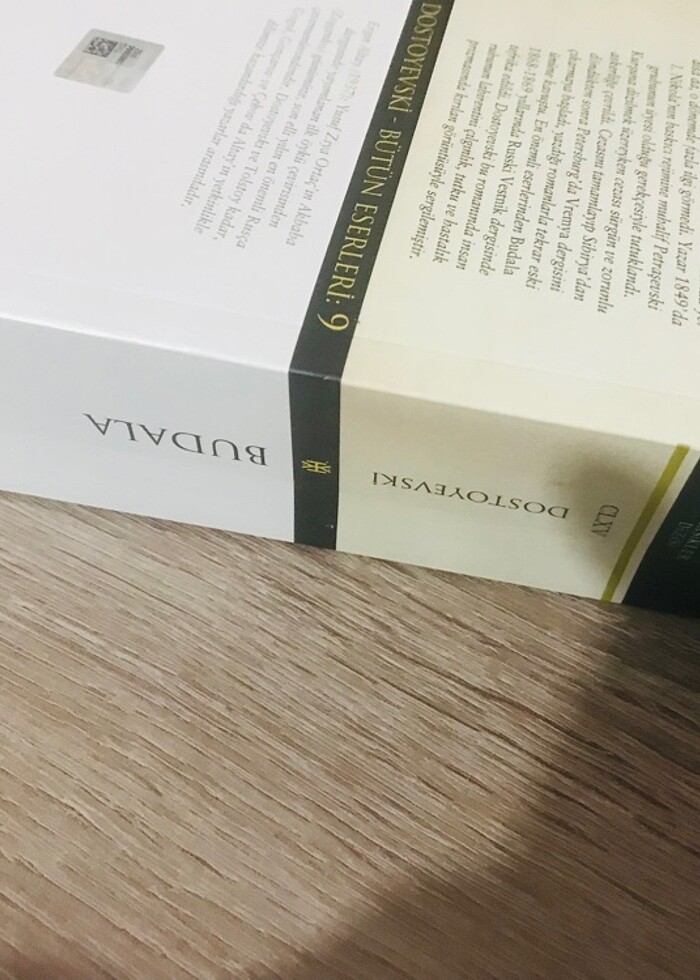 Budala hasan Ali Yücel dostoyevski - Görsel 4