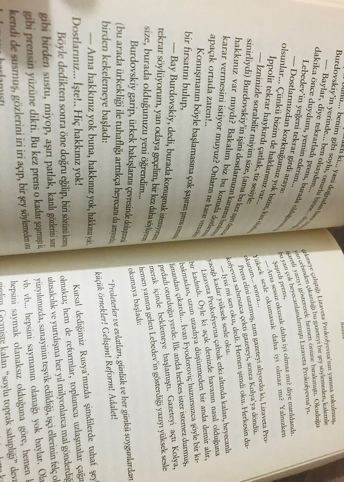 Budala hasan Ali Yücel dostoyevski - Görsel 5