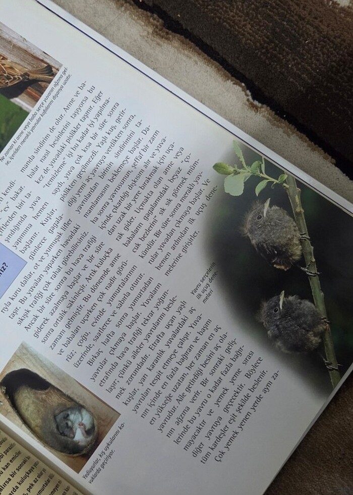 tudem çocuk bilim serisi doğa neden cilt - Görsel 2