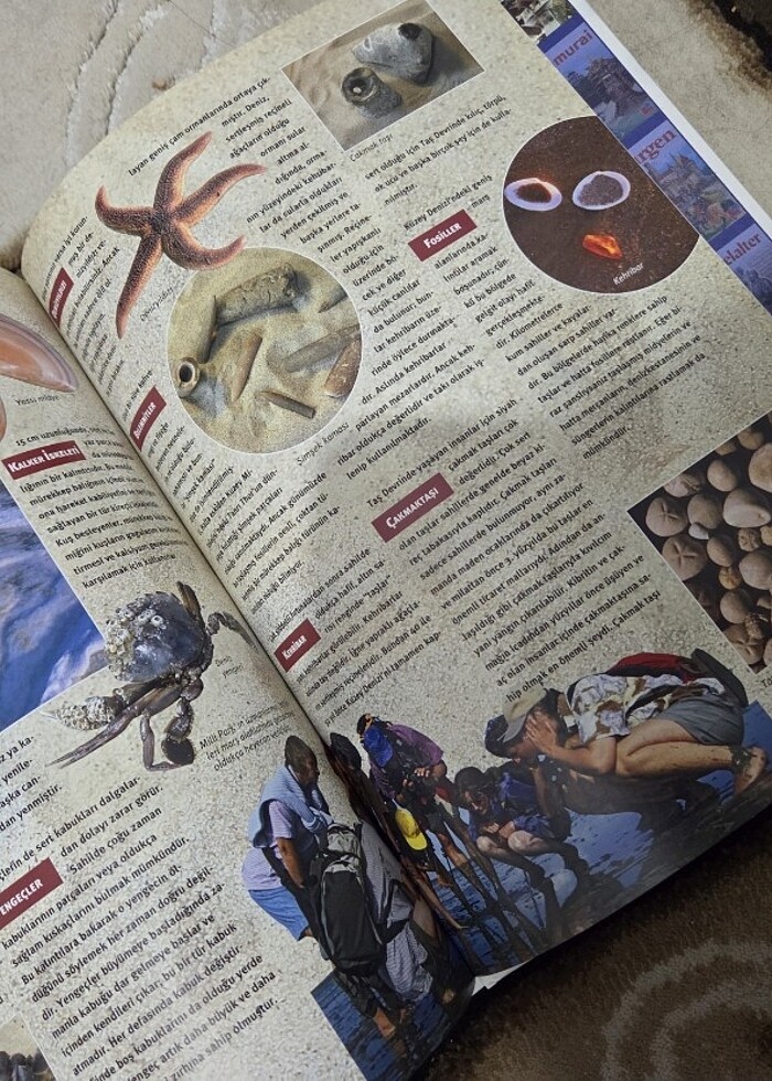 tudem çocuk bilim serisi doğa neden cilt - Görsel 3