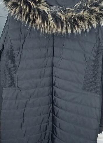 Ekol mont 