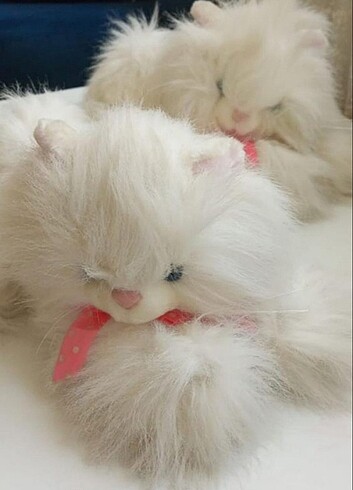  Beden Renk Peluş Kedi 
