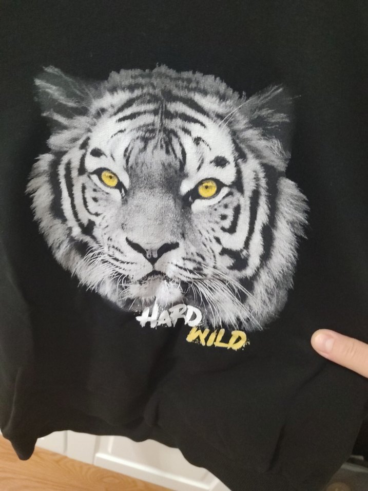 Siyah Erkek Çocuk Sweatshirt Kapüşonlu - Görsel 4