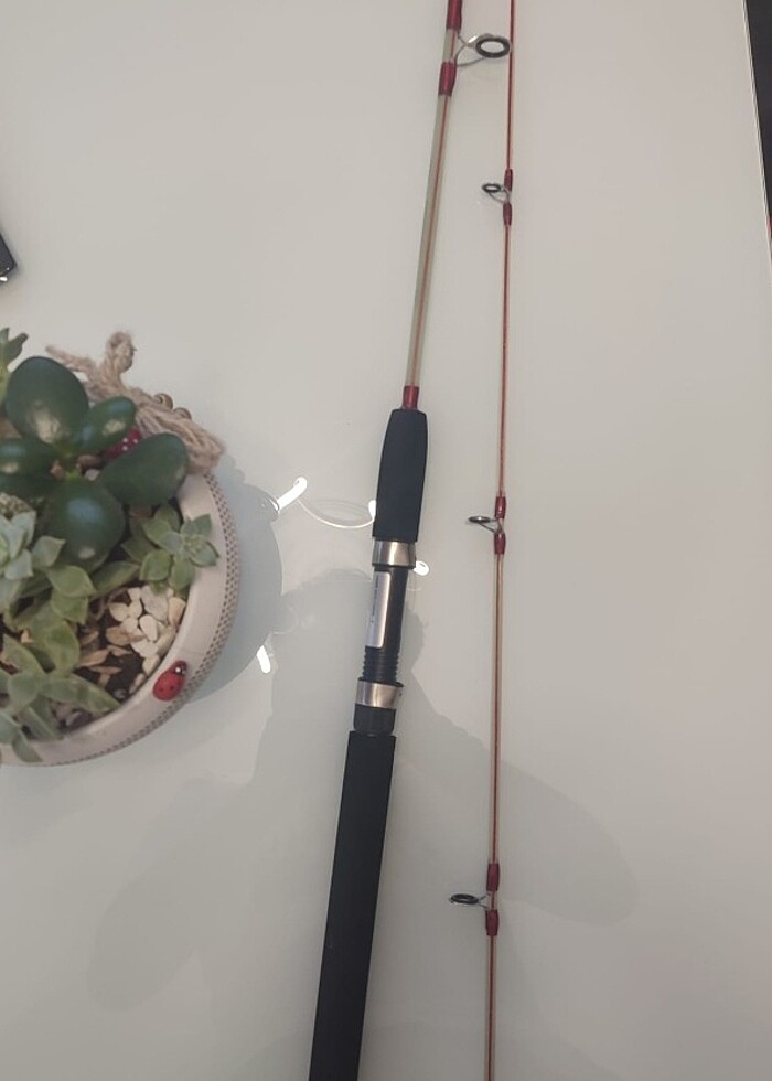 Olta  kamışı - Görsel 3