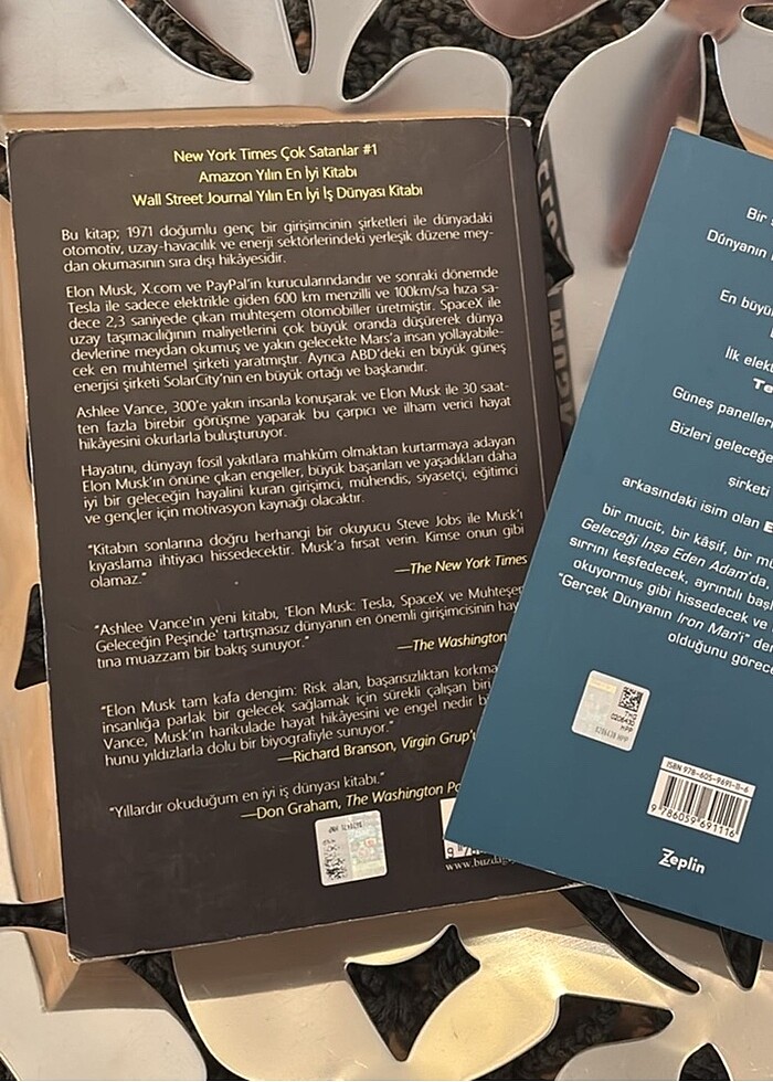 Elon Musk - Görsel 2