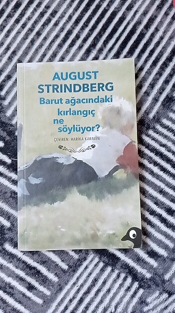 Barut Ağacındaki Kırlangıç Ne Söylüyor?