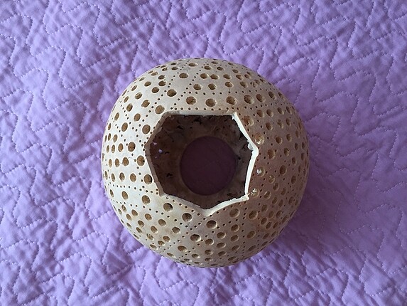 Vintage Love Su kabağı