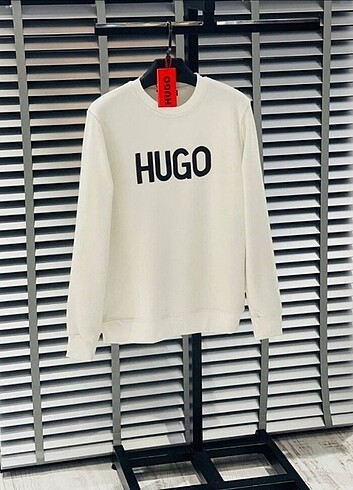 Hugo Boos 