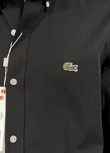 xl Beden siyah Renk Lacoste