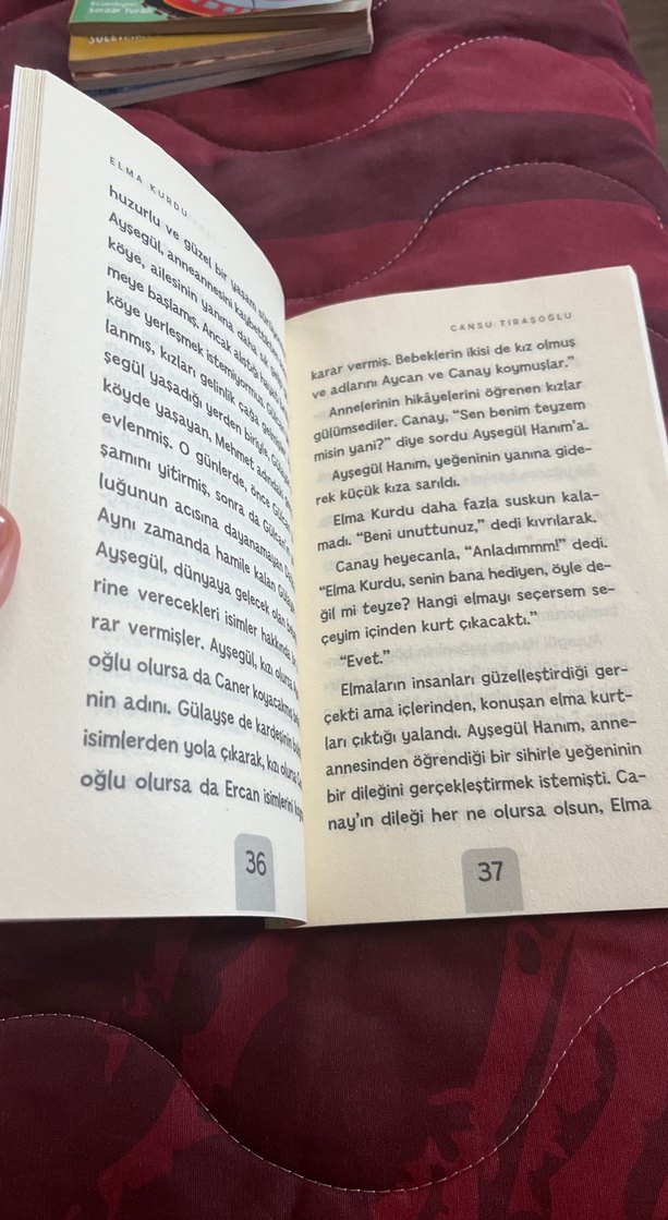 Elma Kurdu - Cansu Tıraşoğlu - Görsel 3