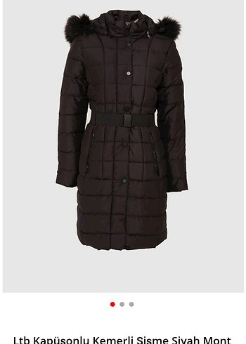 şişme Mont - Görsel 2