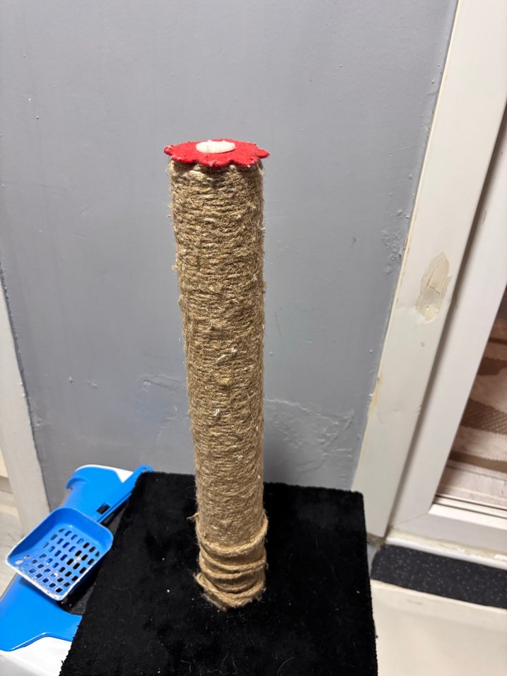 Kahverengi Kedi Tırmalama Tahtası - Görsel 2