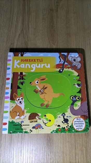 Hareketli Kanguru