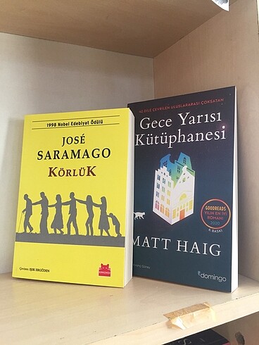 Gece yarısı kütüphanesi + körlük