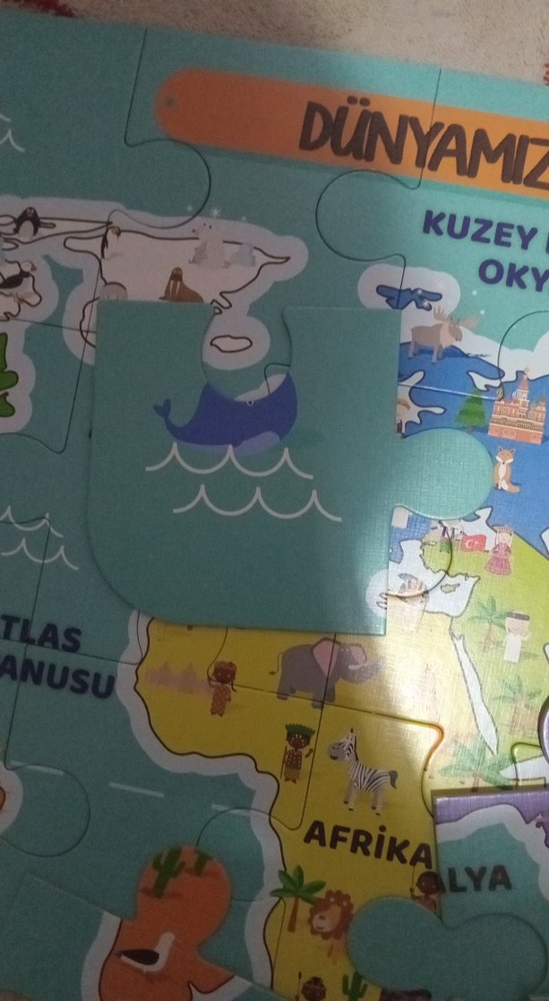 Çocuklar için Dünya Haritası Puzzle - Görsel 3