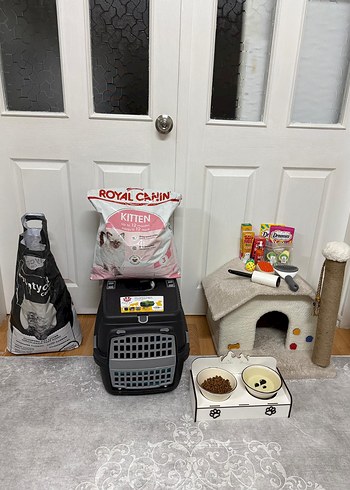 Turuncu Masajlı Saç Fırçası - Görsel 4