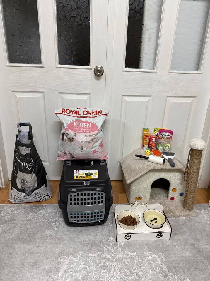 Turuncu Masajlı Saç Fırçası - Görsel 4