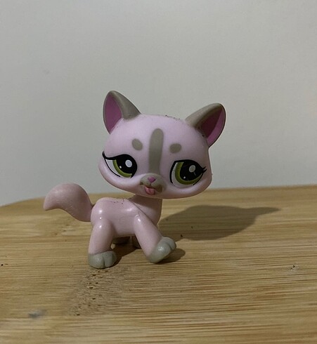 Lps miniş kedi