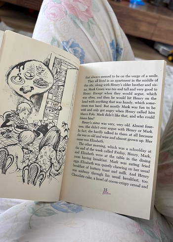 Chocolate Fever - Robert Kimmel Smith - Görsel 2