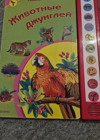 Çocuklar için Orman Hayvanları Kitabı Rusça Ukraynaca kitaplar