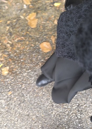 Siyah kısa kaban - Görsel 2