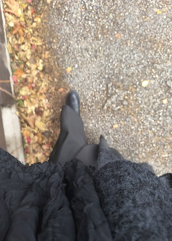 Siyah kısa kaban - Görsel 4